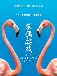 The Mating Game Sezonul 1 Episodul 4 Online