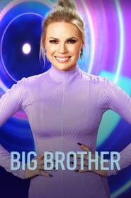 Big Brother (2001) – Television