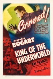 King of the Underworld (1939)