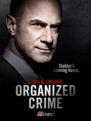 Закон і порядок: Організована злочинність / Law & Order: Organized Crime (2021–2025) TMDB poster