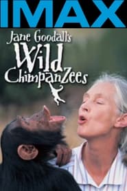 Poster Jane Goodall's Wild Chimpanzees