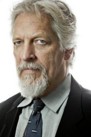 Clancy Brown as Lex Luthor (voice)