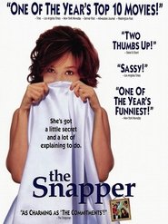 Poster The Snapper 1993