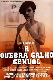 Poster A Quebra Galho Sexual 1986