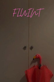 Fluint poster