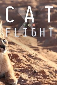 Cat Flight Stream Online Anschauen