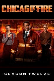 Chicago Fire Season 12 Poster