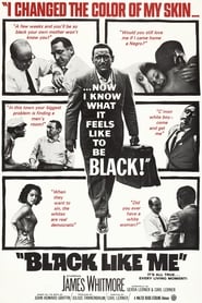 Poster for Black Like Me