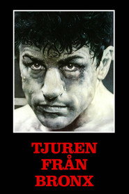 Tjuren fr&aring;n Bronx (1980)
