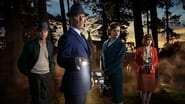 The Doctor Blake Mysteries en streaming