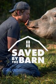 Saved By The Barn poster