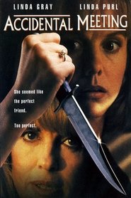 Poster Accidental Meeting 1994
