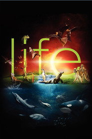 Life poster
