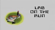 Lab on the Run