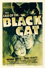 The Case of the Black Cat постер