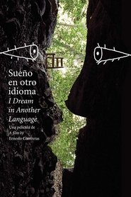 Poster for I Dream in Another Language