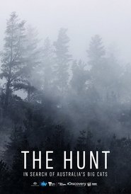 The Hunt: In Search of Australia’s Big Cats (2021) The Hunt: In Search of Australia’s Big Cats (2021)
