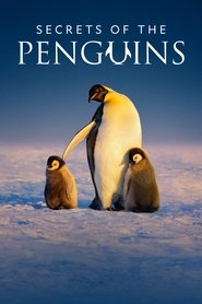 Secrets of the Penguins (2025)