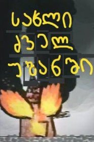 House in the Old District (1994)