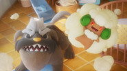 Mischievous Whimsicott? Not on Mabosstiff's Watch!