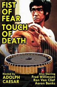 Fist of Fear, Touch of Death постер