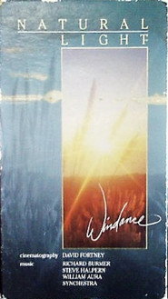 Natural Light: Windance