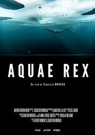 Poster Aquae Rex 2018
