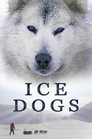 Poster Ice Dogs: The Only Companions Worth Having