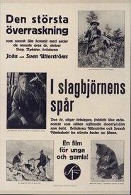 Poster I slagbjörnens spår