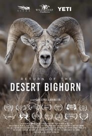 Poster Return of the Desert Bighorn