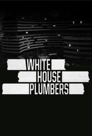 White House Plumbers poster