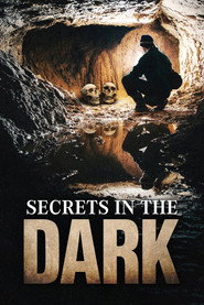 Secrets in the Dark постер