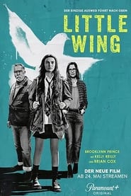 Poster Little Wing