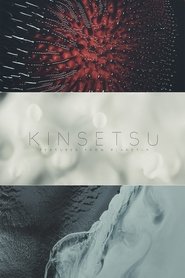 Poster Kinsetsu Textures from Planet-9 2017