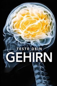 Test Your Brain poster