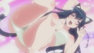 Nyan Nyan ♪ Hayuru's Diary