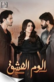 Affiche de ilzam-e-ishq