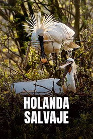 Wild Holland постер