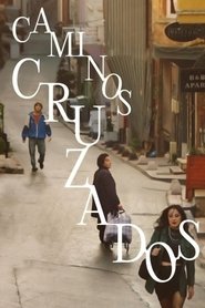 Caminos Cruzados 2024 [BRRIP][1080p][Cast-Geor]
