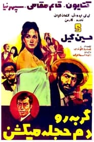 گربه را دم حجله میکشند) گربه را دم حجله میکشند (1969)