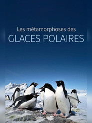Les métamorphoses des glaces polaires : Un défi pour les écosystèmes