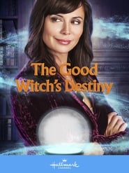 The Good Witch's Destiny постер