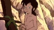 Mowgli's Lair