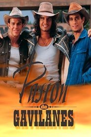 Pasión de gavilanes 2003