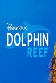 Dolphin Reef