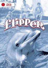 Flipper Season 2 4