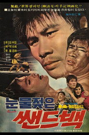 눈물 젖은 샌드백