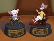 Pinky and the Brain - Episode 3x17