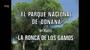 Episode 69