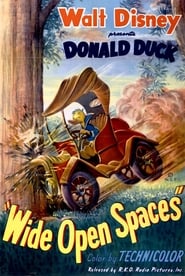Wide Open Spaces постер
